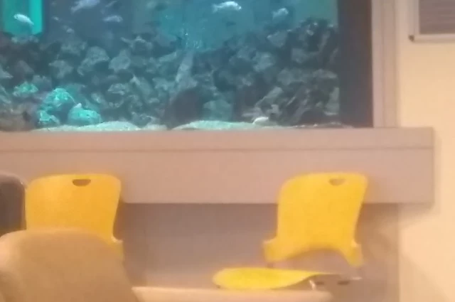 Conemaugh Memorial Medical Center - Behavioral Medicine