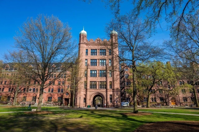 Yale - Behavioral Health Services