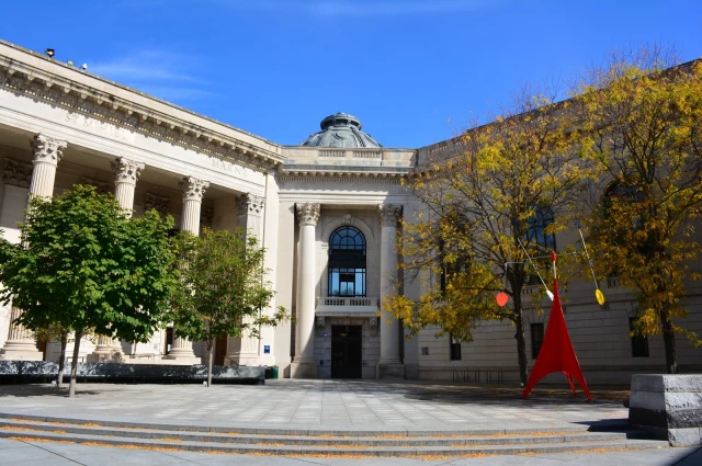 Yale - Behavioral Health Services