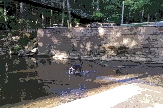 The Bridge to Recovery