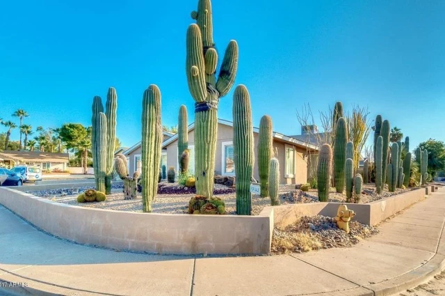 Arizona Addiction Recovery Center - AARC