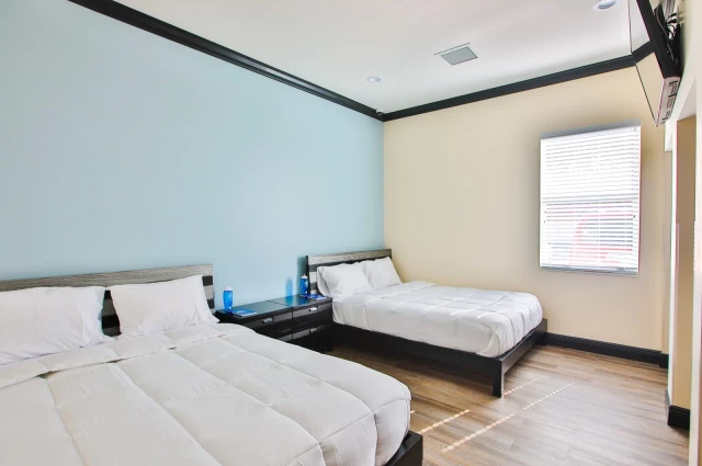 The Haven Detox