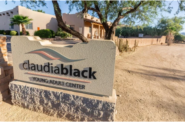 The Meadows - Claudia Black Young Adult Center The Meadows - Claudia Black Young Adult Center