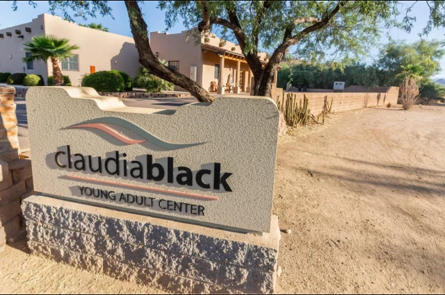 The Meadows - Claudia Black Young Adult Center The Meadows - Claudia Black Young Adult Center