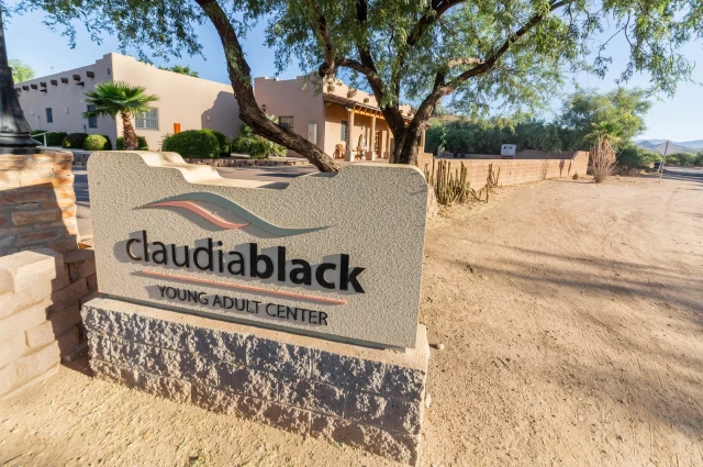 The Meadows - Claudia Black Young Adult Center The Meadows - Claudia Black Young Adult Center