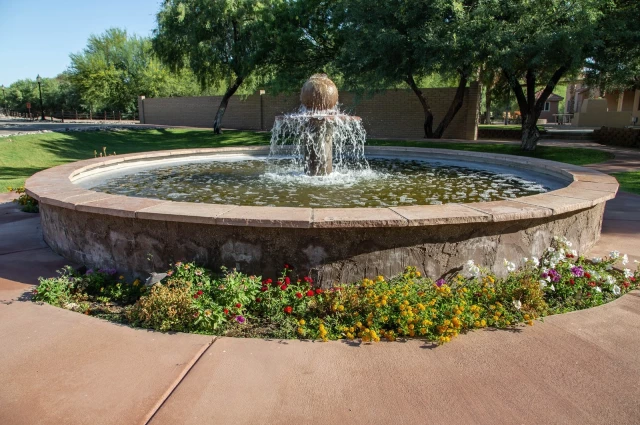The Meadows - Claudia Black Young Adult Center The Meadows - Claudia Black Young Adult Center