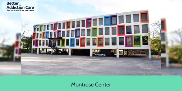 Montrose Center 401 Branard Street 1 Montrose Center 401 Branard Street 1