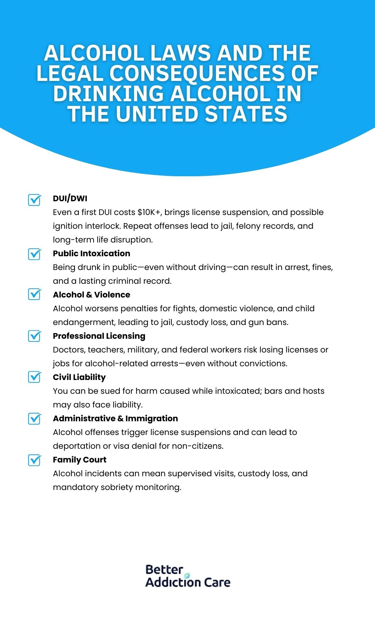 alcohol law detail
