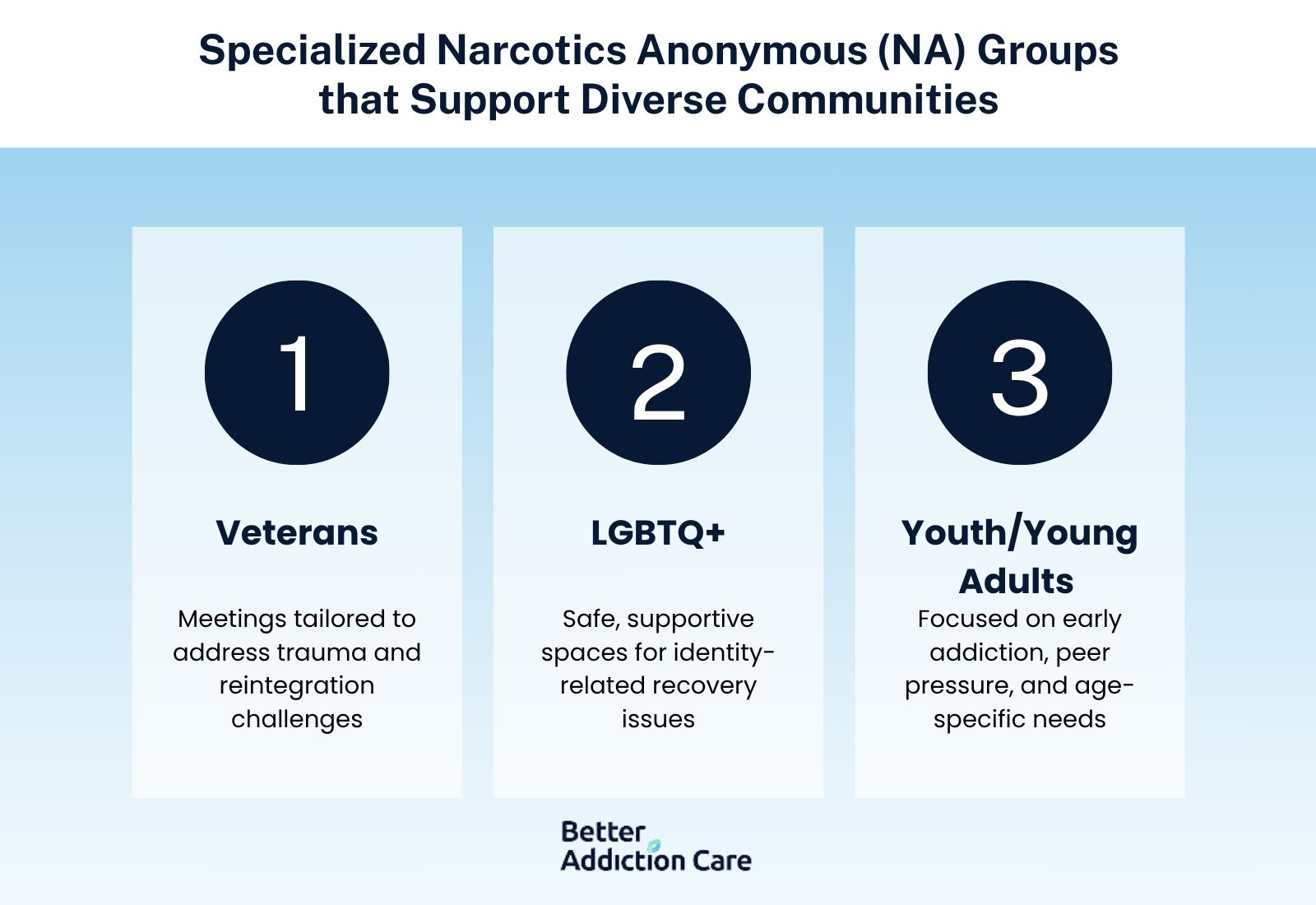 Specialized Narcotics Anonymous (NA) Groups that Support Diverse Communities