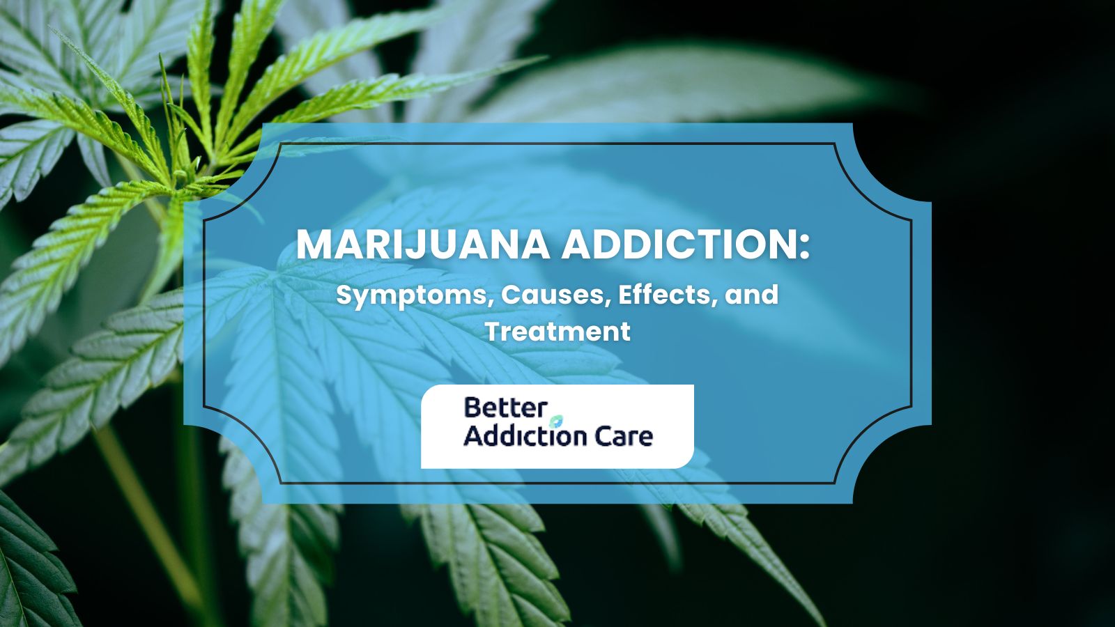 Marijuana Addiction: Symptoms, Causes, Effects, and Treatment