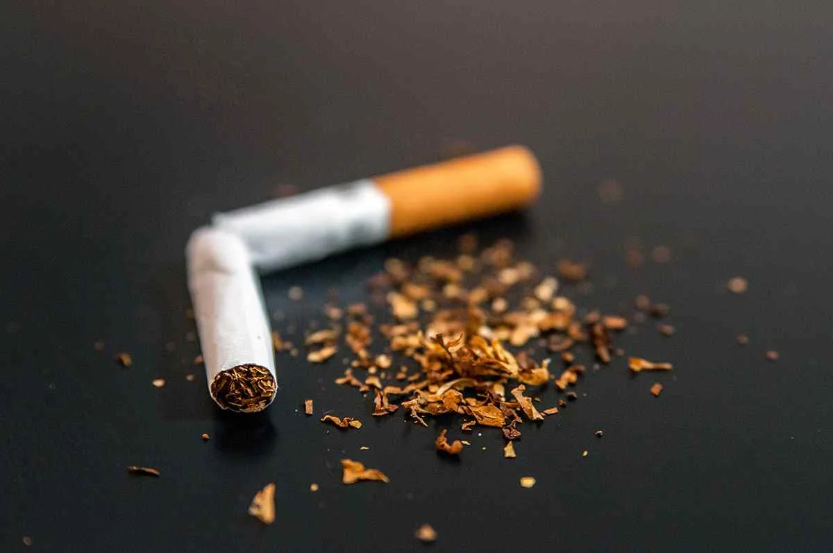 Broken cigarette with loose tobacco