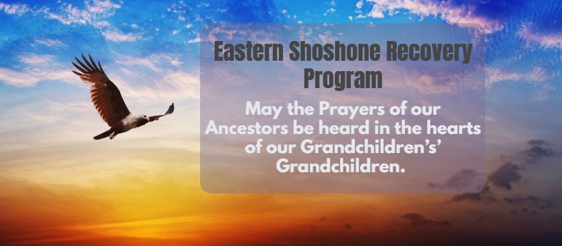 Eastern Shoshone Recovery Program - Eastern Shoshone Tribe