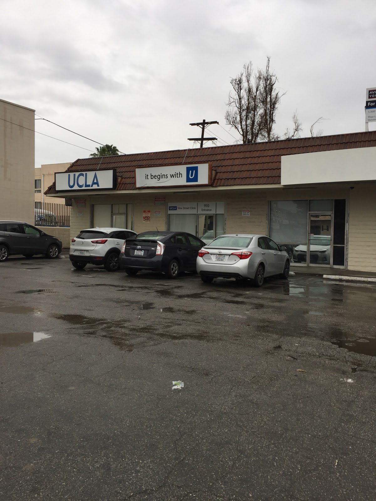 UCLA Vine Street Clinic - UVSC