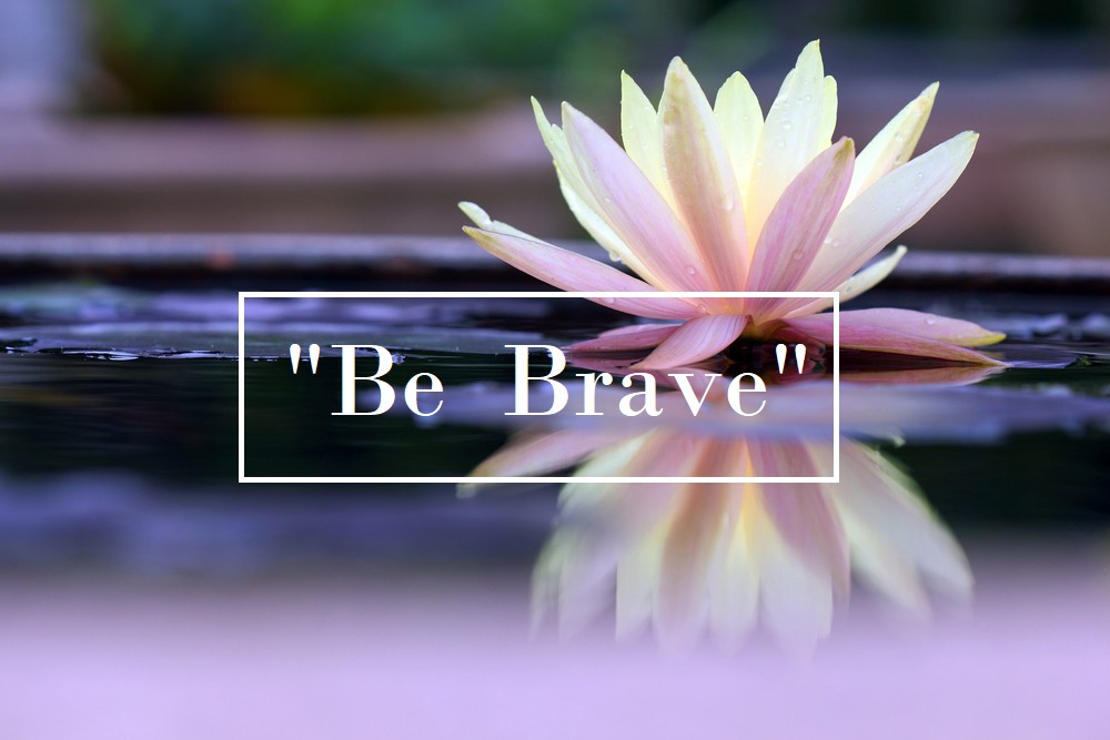 A Time to Rise Counseling and Wellness A Time to Rise Counseling and Wellness
