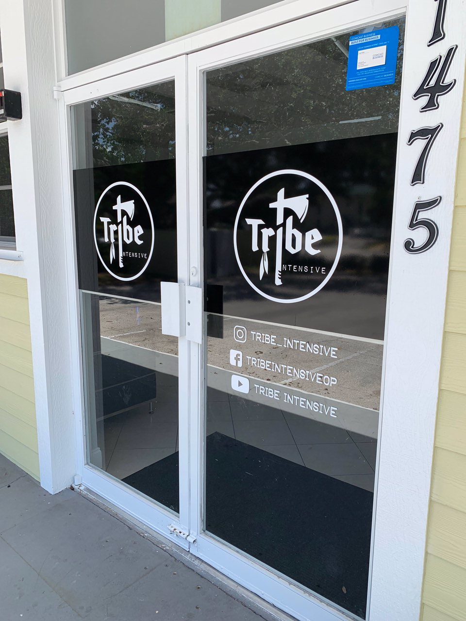 Tribe Intensive