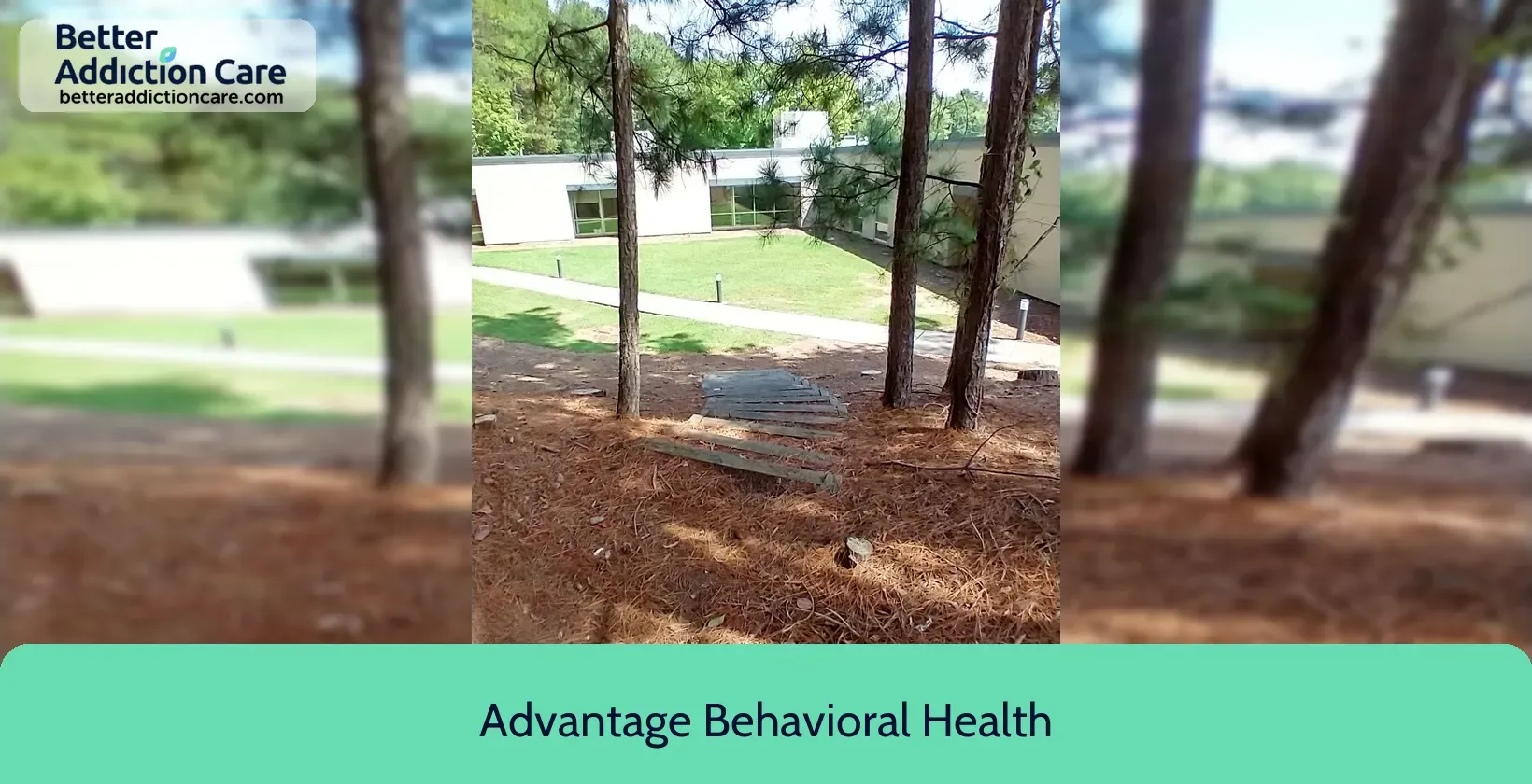 Advantage Behavioral Health 240 Mitchell Bridge 2