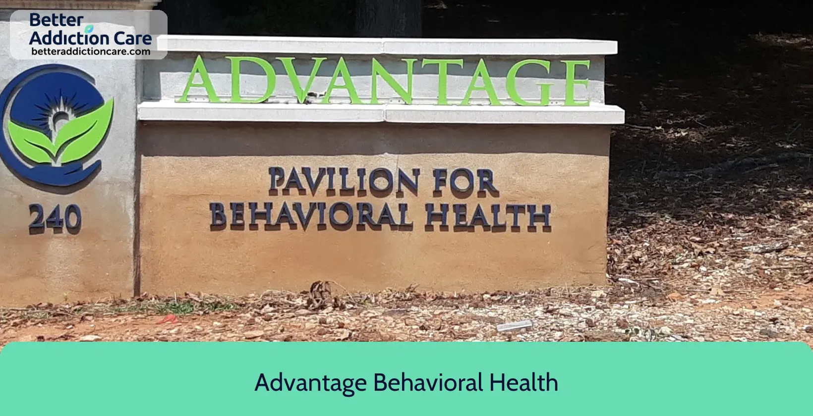 Advantage Behavioral Health 240 Mitchell Bridge 6