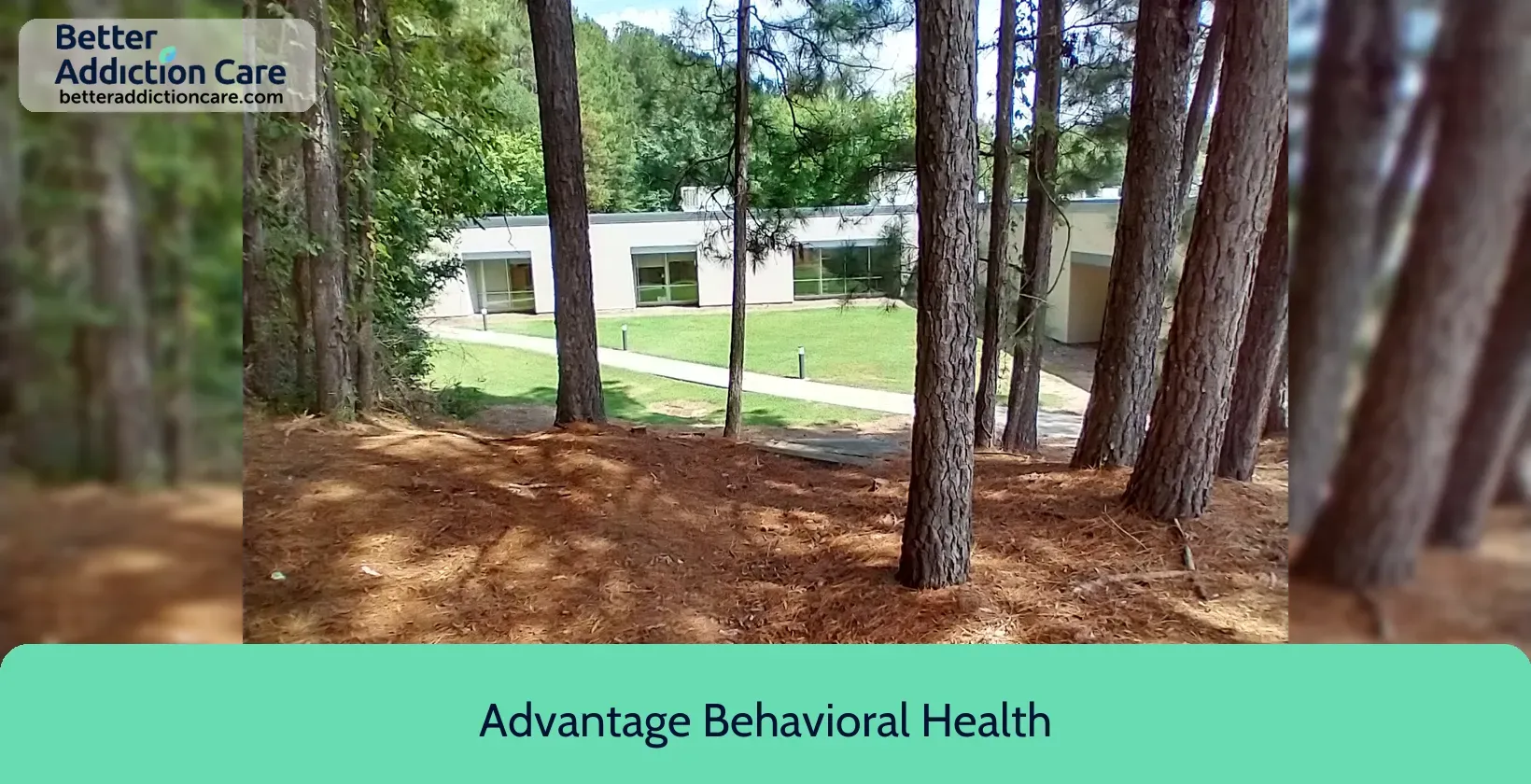 Advantage Behavioral Health 240 Mitchell Bridge 9