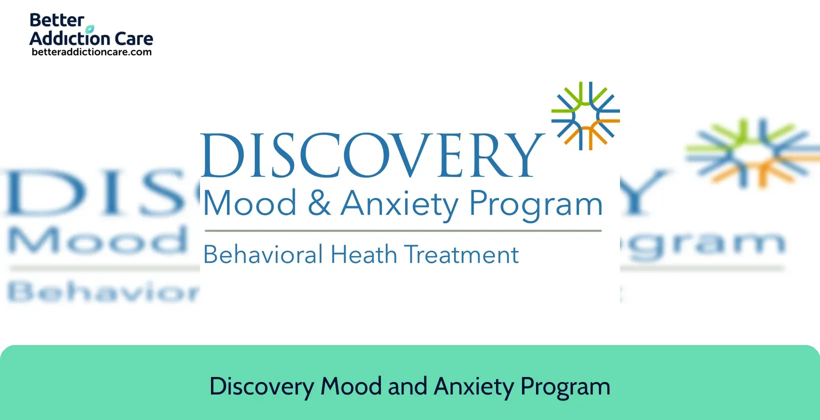 Discovery Mood and 10416 Burke Lake 1 Discovery Mood and 10416 Burke Lake 1