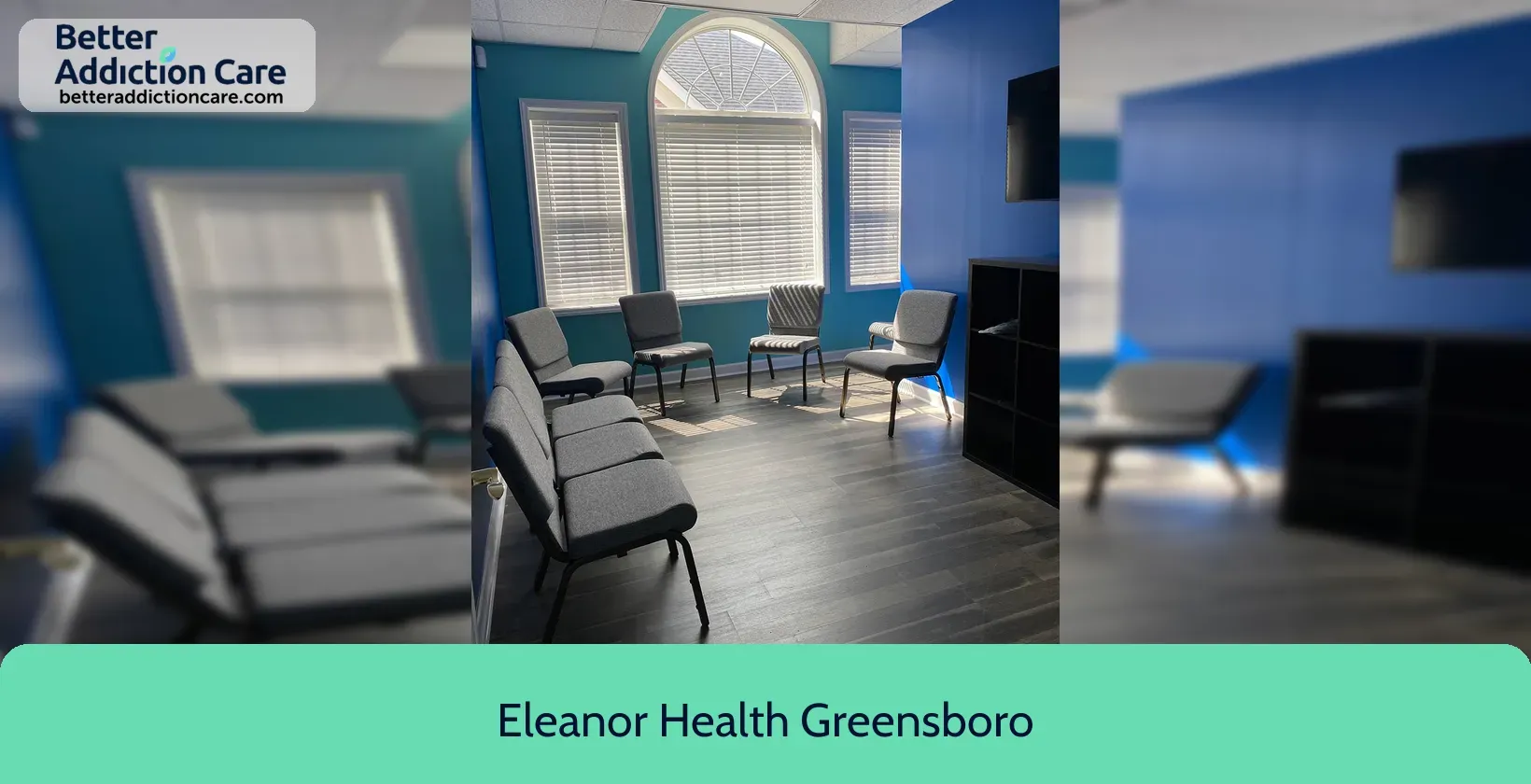 Eleanor Health Greensboro 2721 Horse Pen 2