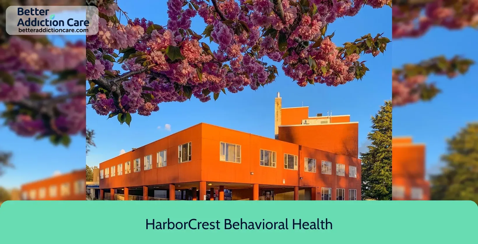 HarborCrest Behavioral Health 1006 North H 3