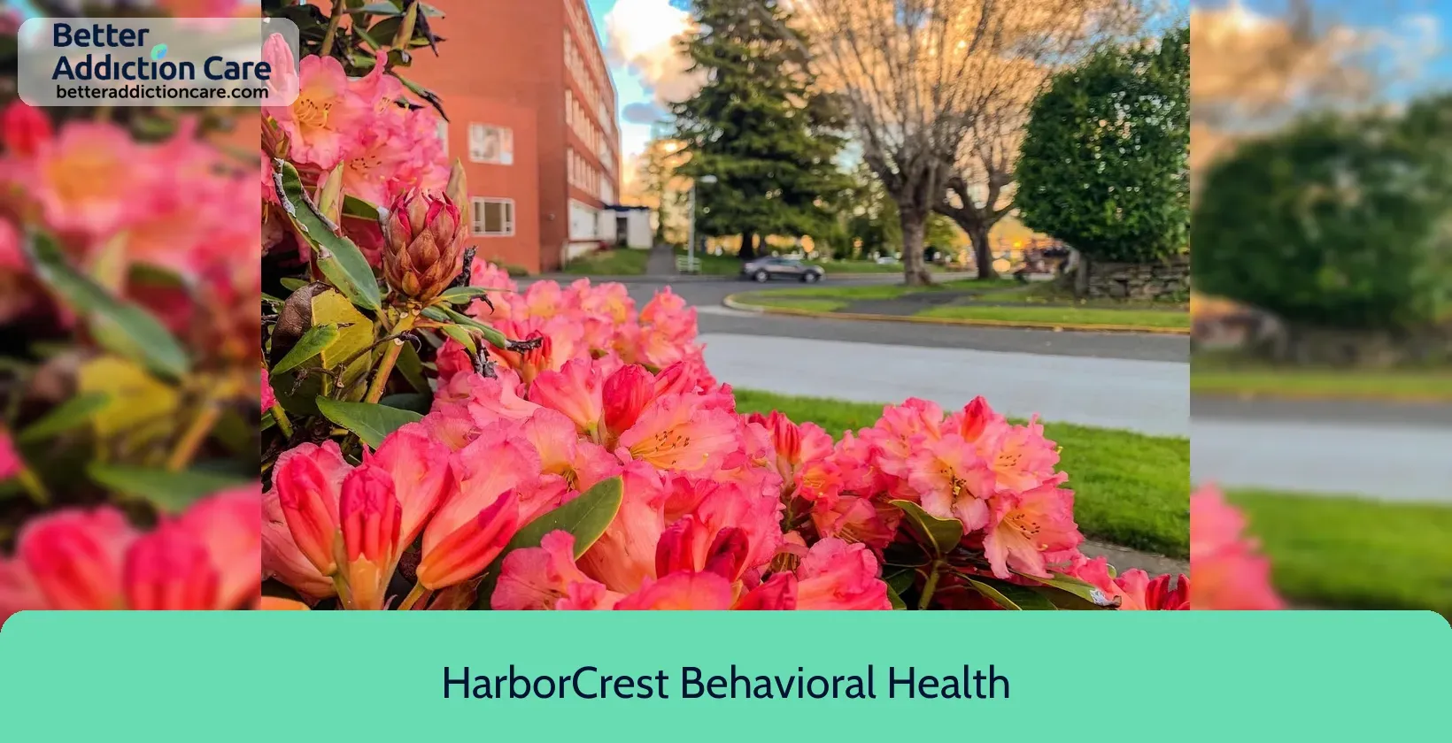 HarborCrest Behavioral Health 1006 North H 7