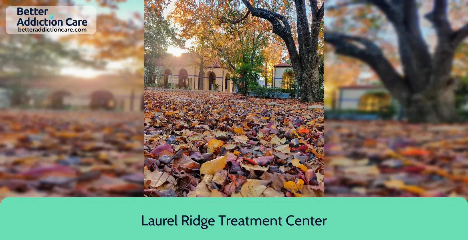Laurel Ridge Treatment 17720 Corporate Woods 10