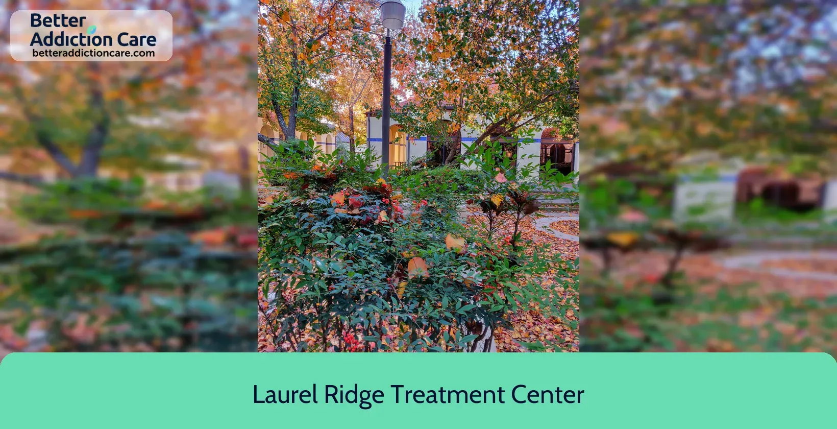 Laurel Ridge Treatment 17720 Corporate Woods 4
