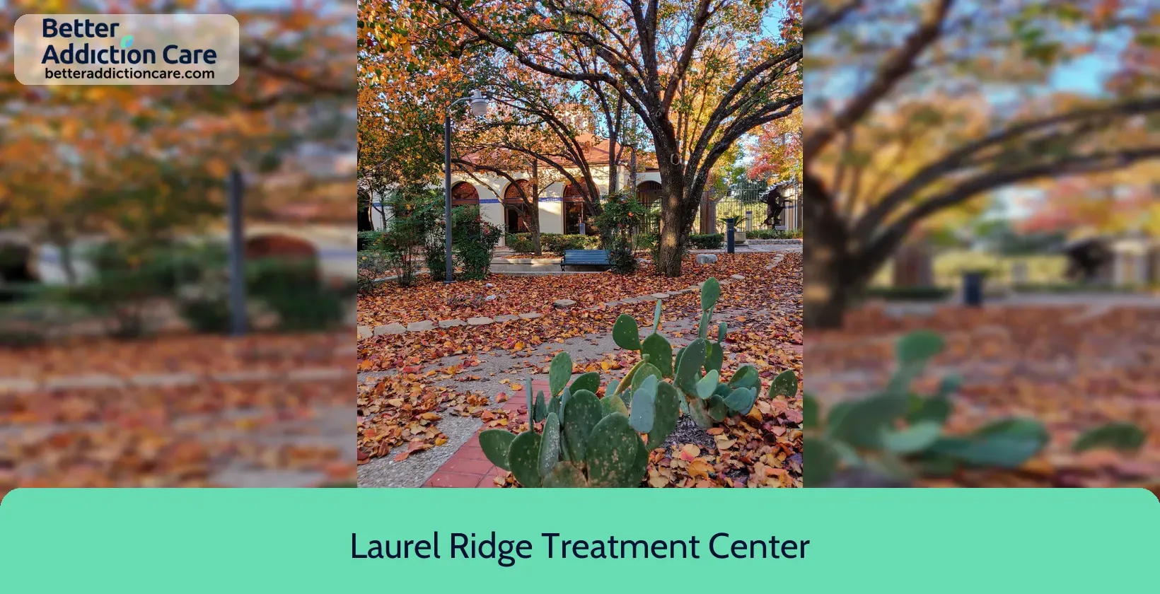 Laurel Ridge Treatment 17720 Corporate Woods 8