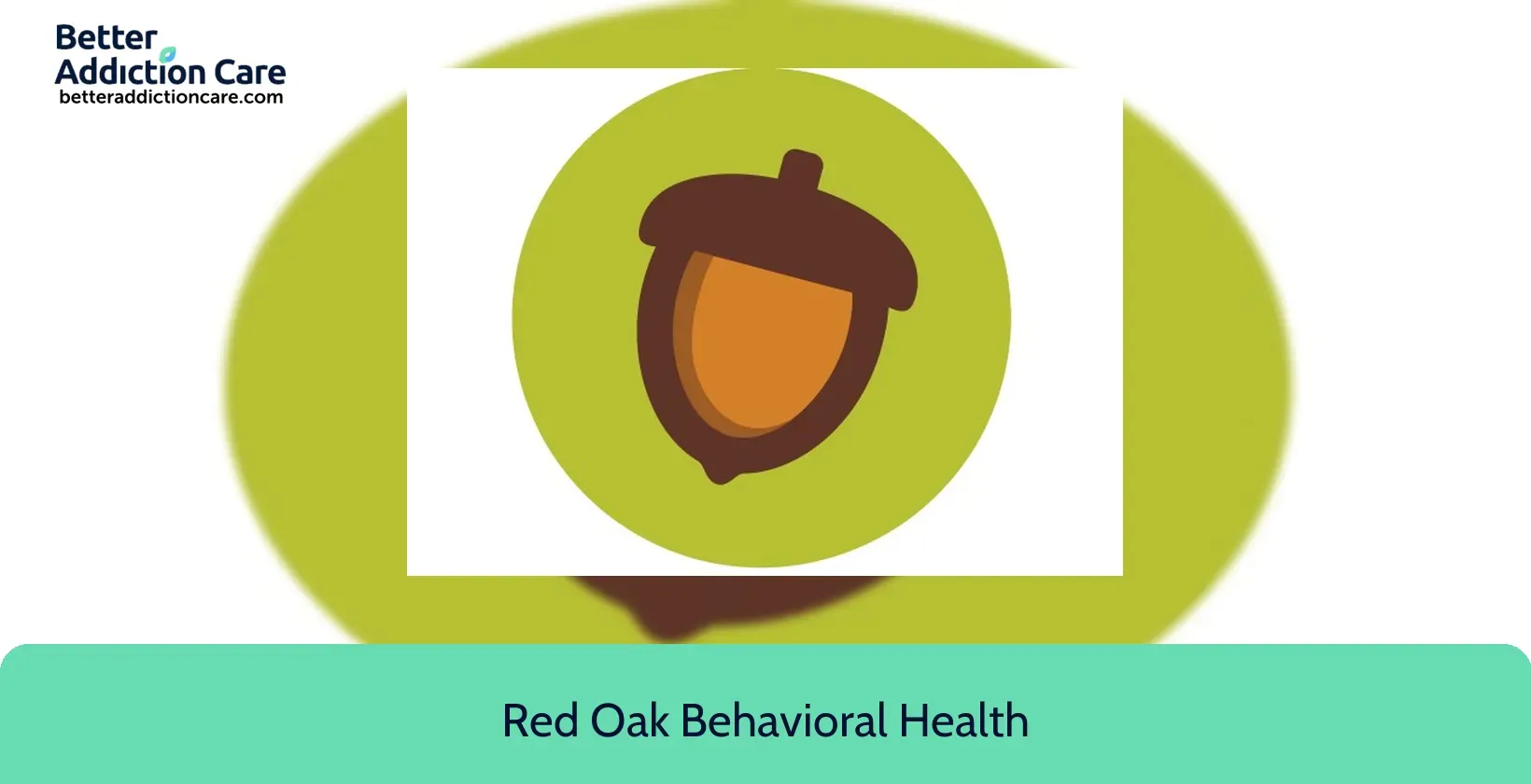 Red Oak Behavioral 611 West Market 2