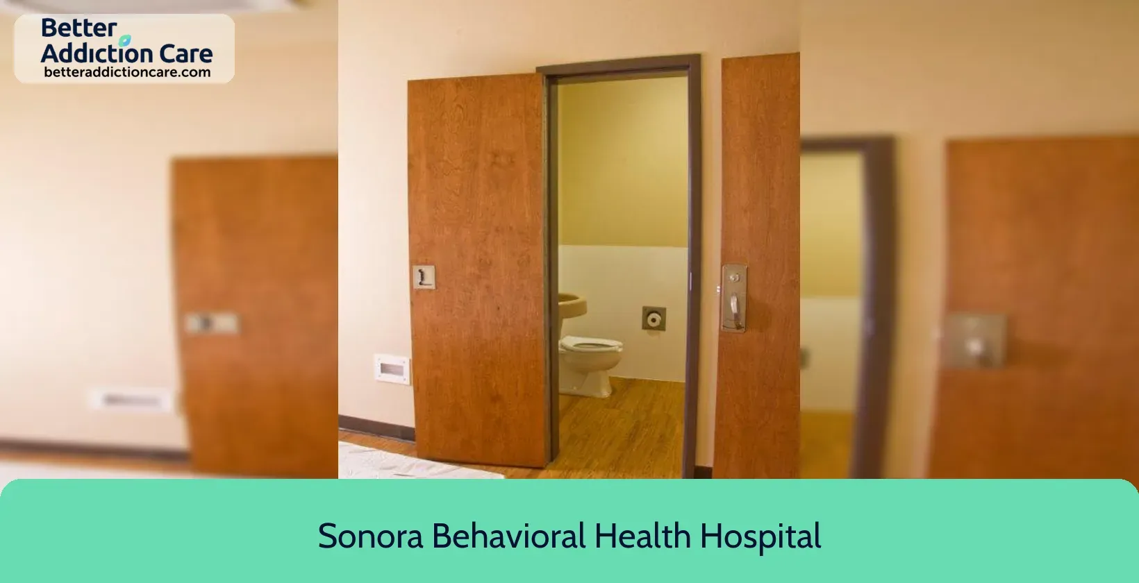 Sonora Behavioral Health 6050 North Corona 5