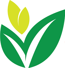 Evolve Treatment Centers for Teens logo