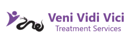 Veni Vidi Vici Treatment Services logo