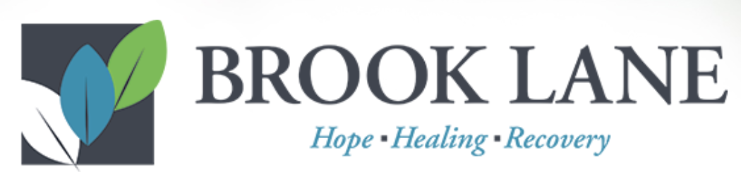 Brook Lane Health Services - North Village logo