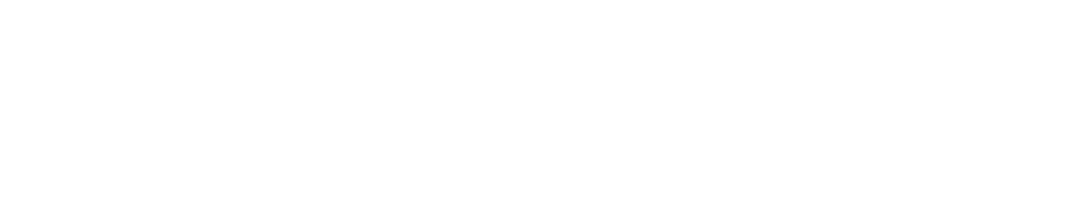 High Focus logo