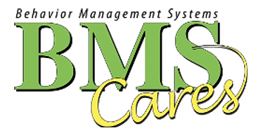 Behavior Management Systems logo