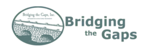 Bridging the Gaps logo
