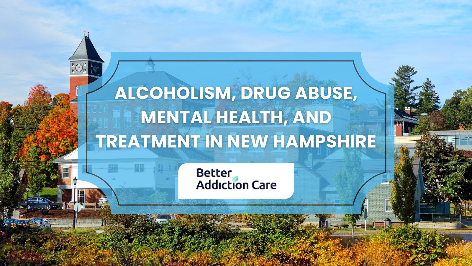 Alcoholism, Drug Abuse, Mental Health, and Treatment in New Hampshire