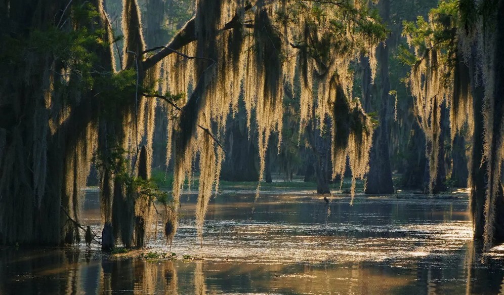 Louisiana